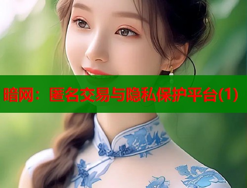暗网：匿名交易与隐私保护平台(1)