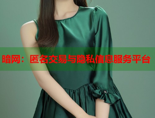 暗网：匿名交易与隐私信息服务平台