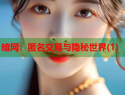 暗网：匿名交易与隐秘世界(1)
