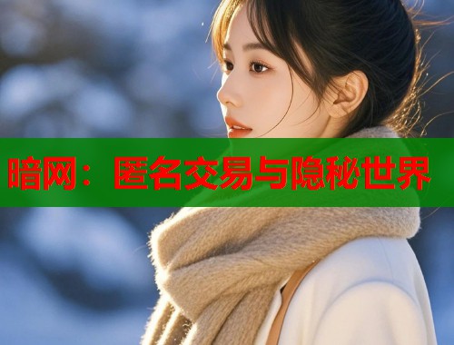 暗网：匿名交易与隐秘世界