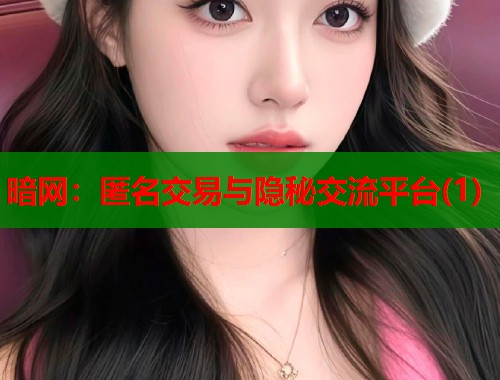 暗网：匿名交易与隐秘交流平台(1)