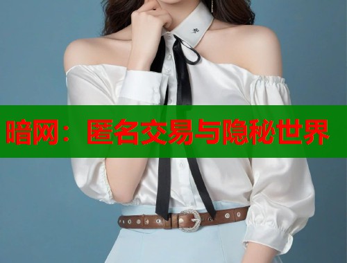 暗网：匿名交易与隐秘世界  第2张