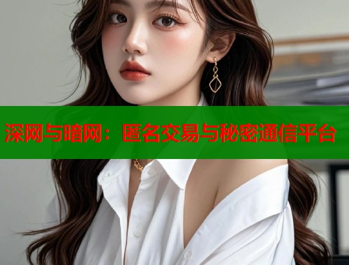 深网与暗网：匿名交易与秘密通信平台  第2张