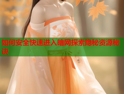 如何安全快速进入暗网探索隐秘资源秘诀  第2张