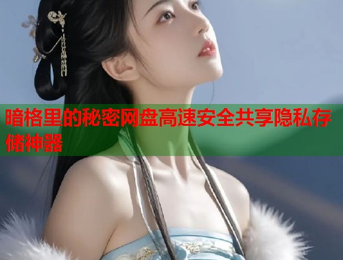 暗格里的秘密网盘高速安全共享隐私存储神器