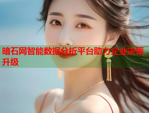 暗石网智能数据分析平台助力企业决策升级  第1张