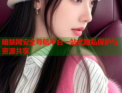 暗禁网安全导航平台一站式隐私保护与资源共享