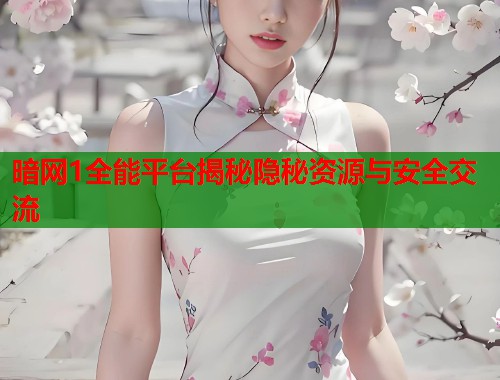 暗网1全能平台揭秘隐秘资源与安全交流