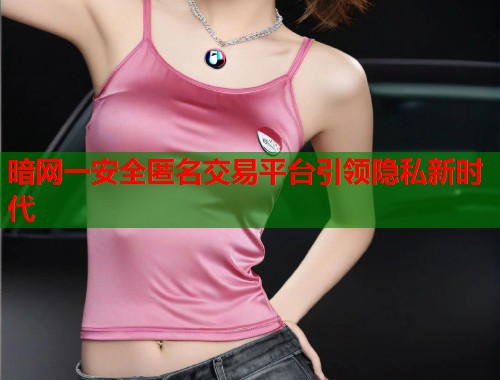 暗网一安全匿名交易平台引领隐私新时代