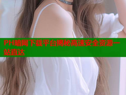 PH暗网下载平台揭秘高速安全资源一站直达  第1张
