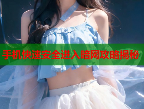 手机快速安全进入暗网攻略揭秘