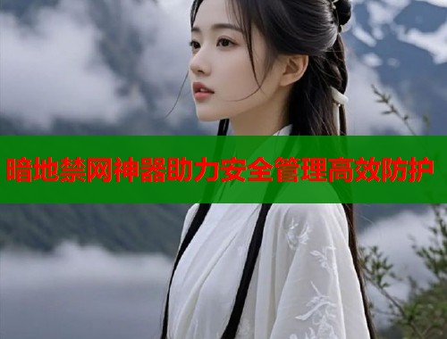 暗地禁网神器助力安全管理高效防护  第1张