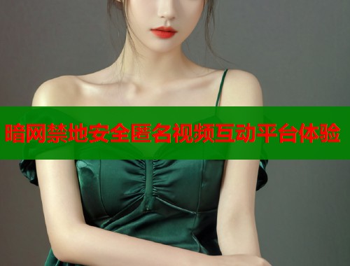 暗网禁地安全匿名视频互动平台体验  第2张