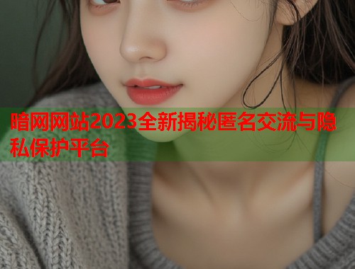 暗网网站2023全新揭秘匿名交流与隐私保护平台