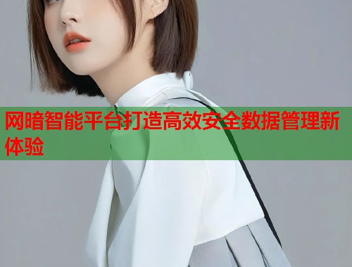 网暗智能平台打造高效安全数据管理新体验  第1张