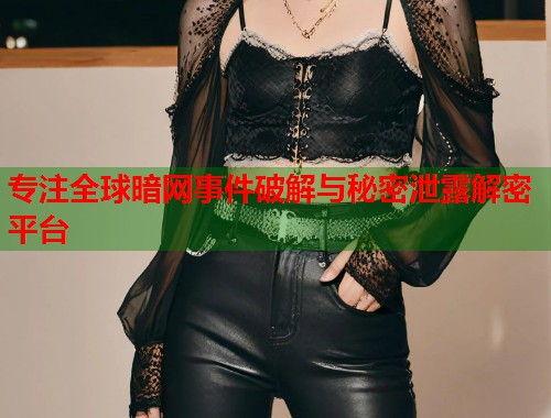 专注全球暗网事件破解与秘密泄露解密平台  第1张