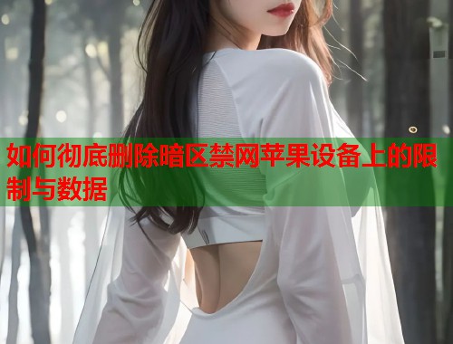 如何彻底删除暗区禁网苹果设备上的限制与数据  第1张