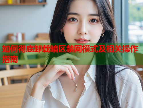 如何彻底卸载暗区禁网模式及相关操作指南  第1张