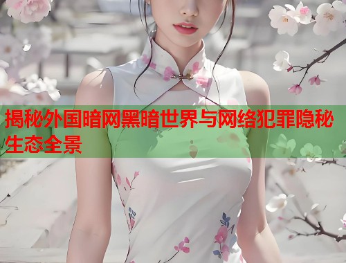 揭秘外国暗网黑暗世界与网络犯罪隐秘生态全景  第1张
