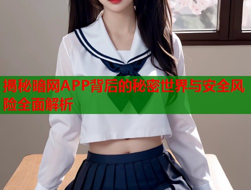 揭秘暗网APP背后的秘密世界与安全风险全面解析  第1张