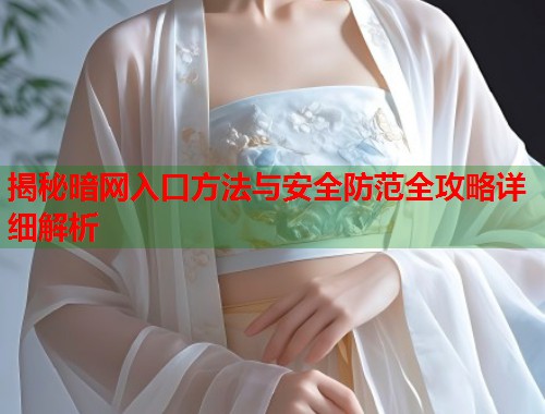 揭秘暗网入口方法与安全防范全攻略详细解析  第1张