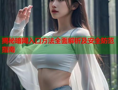 揭秘暗网入口方法全面解析及安全防范指南  第1张