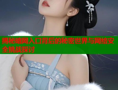 揭秘暗网入口背后的秘密世界与网络安全挑战探讨  第1张
