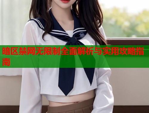 暗区禁网无限制全面解析与实用攻略指南  第1张