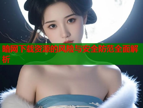 暗网下载资源的风险与安全防范全面解析  第1张