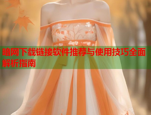 暗网下载链接软件推荐与使用技巧全面解析指南  第1张