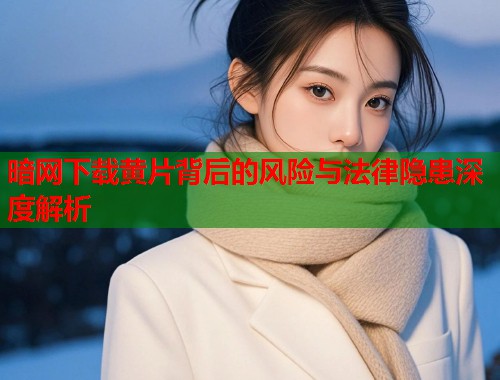暗网下载黄片背后的风险与法律隐患深度解析  第1张