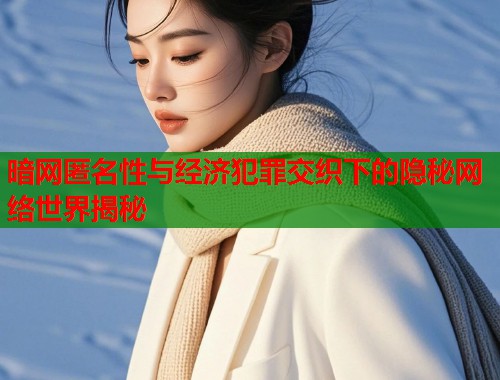 暗网匿名性与经济犯罪交织下的隐秘网络世界揭秘  第1张