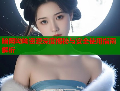 暗网呦呦资源深度揭秘与安全使用指南解析  第1张