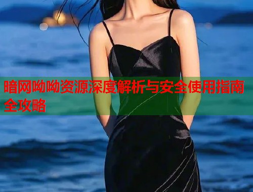 暗网呦呦资源深度解析与安全使用指南全攻略  第1张