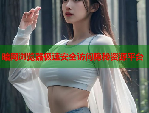 暗网浏览器极速安全访问隐秘资源平台  第1张