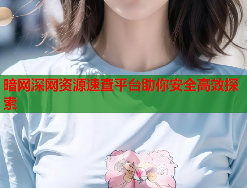 暗网深网资源速查平台助你安全高效探索  第1张