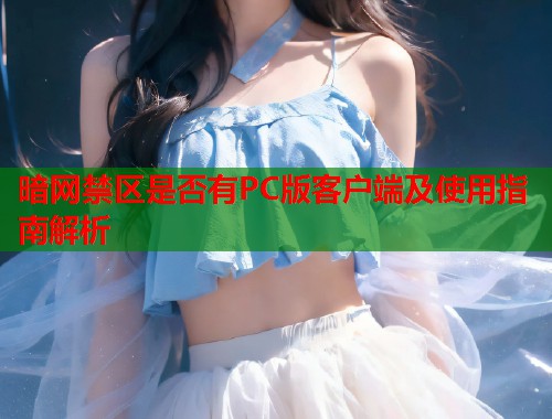 暗网禁区是否有PC版客户端及使用指南解析  第1张