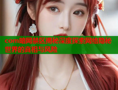 com暗网禁区揭秘深度探索网络隐秘世界的真相与风险  第1张