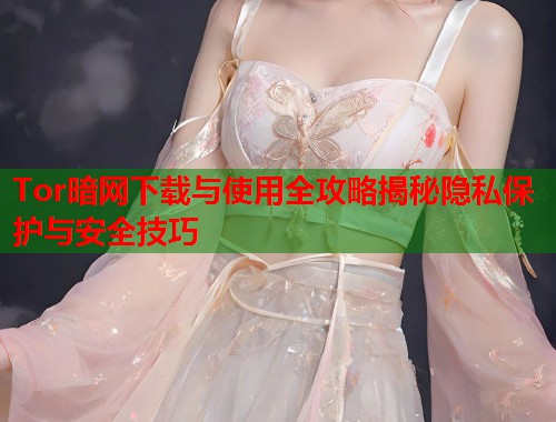 Tor暗网下载与使用全攻略揭秘隐私保护与安全技巧  第1张