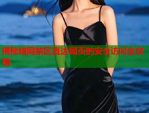 揭秘暗网禁区直达网页的安全访问全攻略  第1张