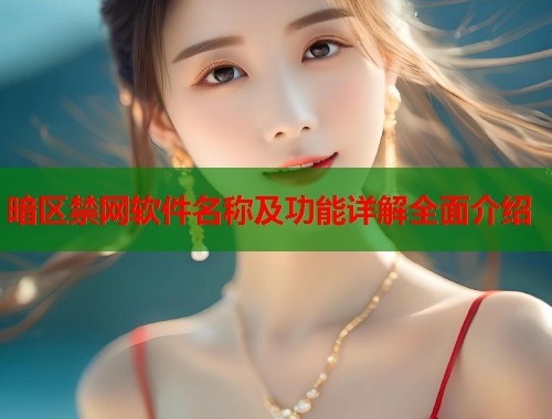 暗区禁网软件名称及功能详解全面介绍  第1张