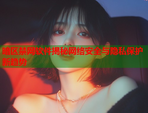 暗区禁网软件揭秘网络安全与隐私保护新趋势  第1张