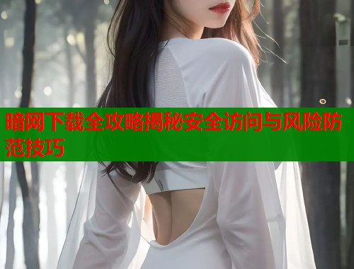 暗网下载全攻略揭秘安全访问与风险防范技巧  第1张