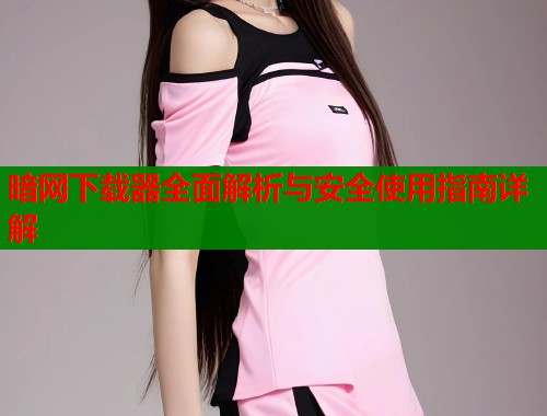 暗网下载器全面解析与安全使用指南详解  第1张