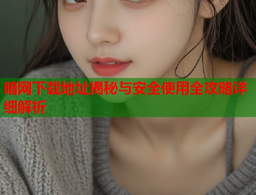 暗网下载地址揭秘与安全使用全攻略详细解析  第1张
