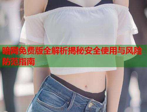 暗网免费版全解析揭秘安全使用与风险防范指南  第1张