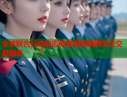 全球联合行动能否彻底根除暗网非法交易隐患  第1张