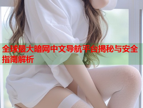 全球最大暗网中文导航平台揭秘与安全指南解析  第1张