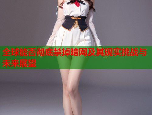 全球能否彻底禁掉暗网及其现实挑战与未来展望  第1张