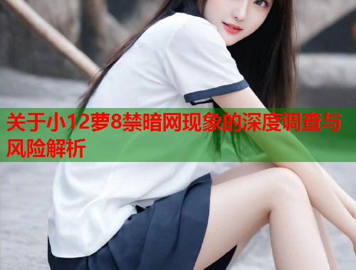 关于小12萝8禁暗网现象的深度调查与风险解析  第1张